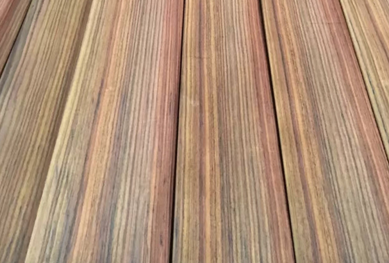 自然 の 美しい 建物 を 装飾 する