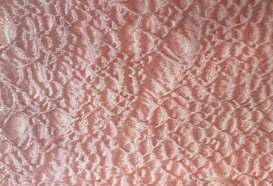 名前