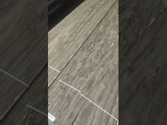 メキシコ・エボニー